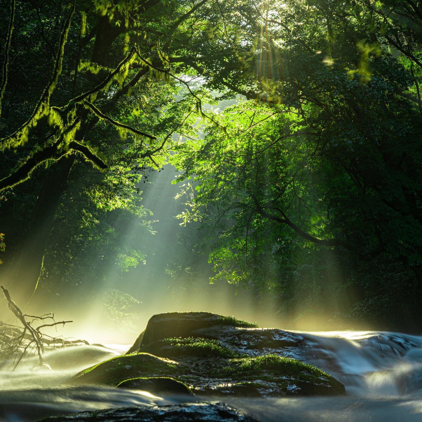 kikuchi valley, waterfall and light lay in the forest, kikuchi, kumamoto, japan